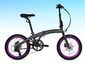 Galaxy Drive D5 20" 鋁架摺車 - Shimano 油壓碟剎