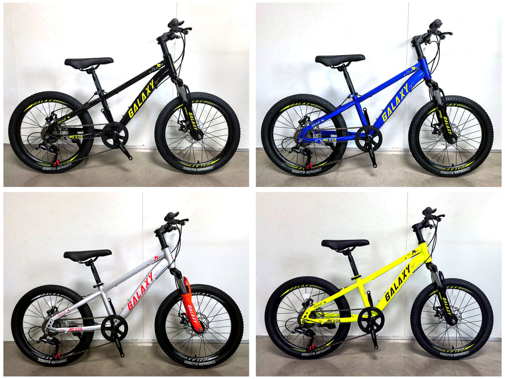 Galaxy MT228  20" 中童MTB