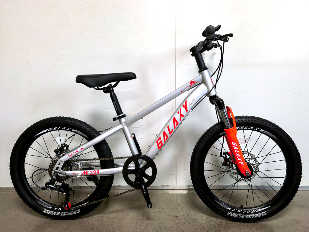Galaxy MT228 20" Junior MTB
