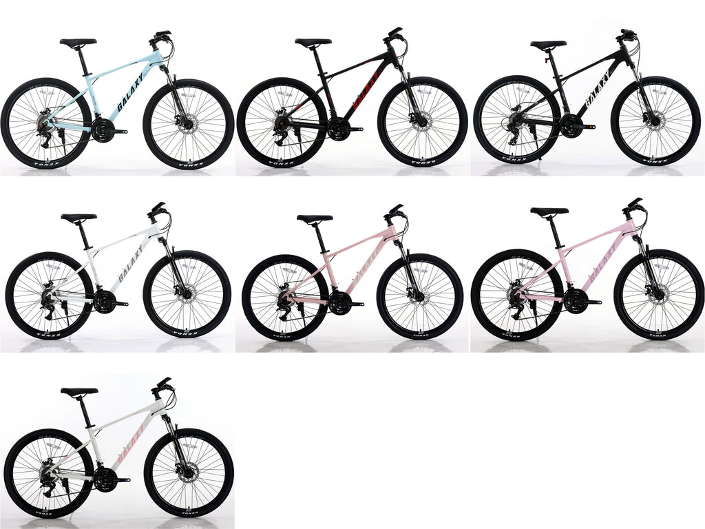 Galaxy Chase C100 鋁合金 MTB - 24" (140cm+)