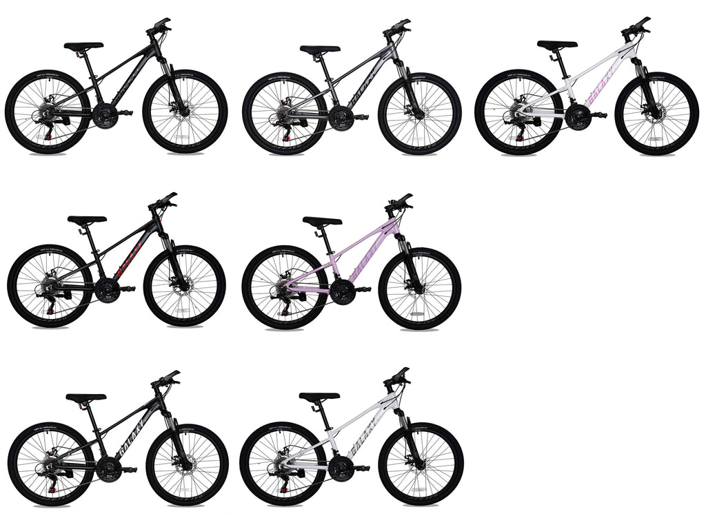 Galaxy Chase C200E (A5) 鋁合金 MTB - 24" 140cm+