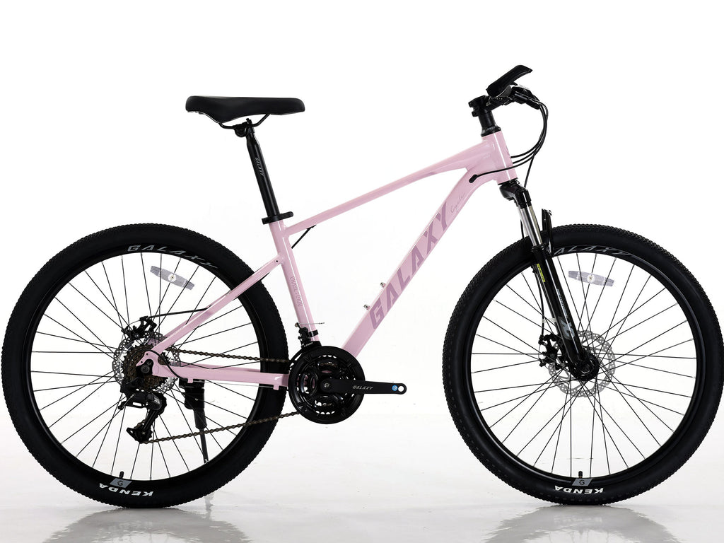 Galaxy Chase C100 鋁合金 MTB - 24" (140cm+)