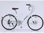 Galaxy Coffee Cafe Casual Order 24" / 26"