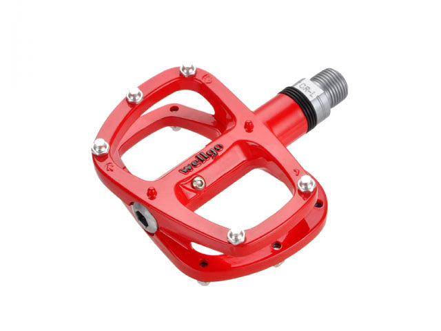 WELLGO R146 公路啤零腳踏